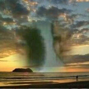 Meet your Posher, Joyce